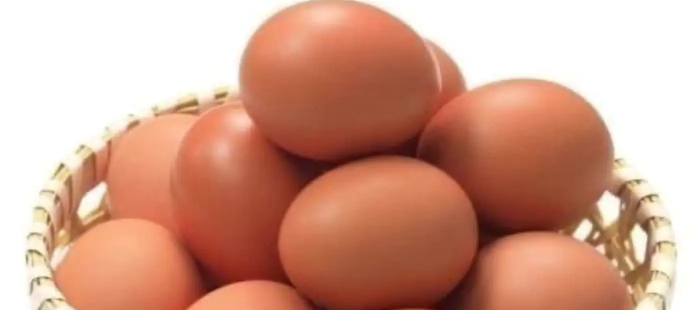 oeuf de la ferme d'akékoi Levraifermier Levraifermier oeuf de la ferme d'akékoi